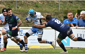 Duel fratricide sur le pré